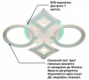 Потолочная люстра Natali Kovaltseva HIGH-TECH LED LAMPS HIGH-TECH LED LAMPS 82014