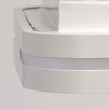 Накладной светильник MW-Light Ривз 3 674012901