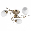 Люстра на штанге TopLight Katrina TL3590X-03AB