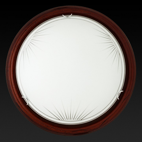 Накладной светильник TopLight Wifa TL9144Y-02PO