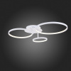 Потолочная люстра ST-Luce Erto SL904.112.03