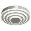 Накладной светильник ST-Luce Тorres SL847.502.02