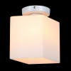 Накладной светильник ST-Luce Aspetto SL548.501.01
