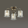 Потолочная люстра Lumion Otalia 3242/3C