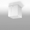 Накладной светильник Sollux Pixar SL.0398