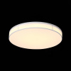 Накладной светильник ST-Luce Fella SL417.512.01