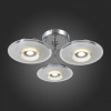 Потолочная люстра ST-Luce Netto SL568.102.03