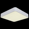 Накладной светильник ST-Luce Presente SL955.502.01D