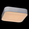 Накладной светильник MW-Light Ривз 6 674012101
