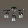 Потолочная люстра Lumion Colett 3272/3C