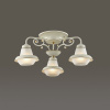Потолочная люстра Lumion Tefida 3105/3C