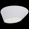 Накладной светильник ST-Luce Odierno SL956.552.01D
