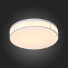 Накладной светильник ST-Luce Fella SL417.502.01