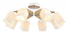 Потолочная люстра Ambrella Light TR TR9522