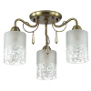Потолочная люстра Lumion Imani 3262/3C