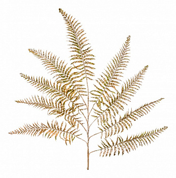 Ветка (95 см) Папоротник 654-219