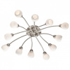 Потолочная люстра Odeon Light Akron 2469/12C