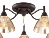 Потолочная люстра Odeon Light Treves 2625/5C