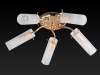 Потолочная люстра TopLight Brittany TL7130X-05FG