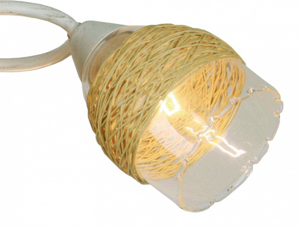 Потолочная люстра Lussole 157 LSP-0157