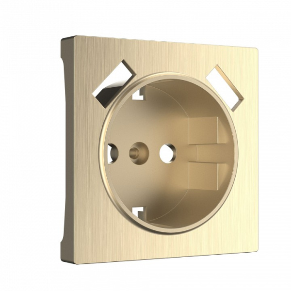 Накладка для розетки с заземлением и 2хUSB Werkel  WL10-USB-CP (шампань рифленый)