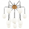 Потолочная люстра Maytoni Branch MOD176PL-12G