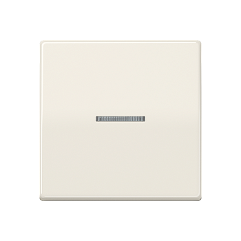 JUNG AS 500 Бежевая Клавиша 1-ая с/п антибактериальная