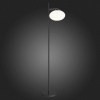 Торшер ST-Luce Modica SL1503.405.01
