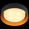 Накладной светильник ST-Luce Chio SL392.422.04