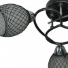 Потолочная люстра TopLight Jeanine TL7430X-03BP