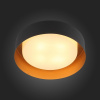 Накладной светильник ST-Luce Chio SL392.422.04