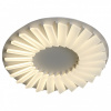 Накладной светильник ST-Luce Tifoso SL837.502.24
