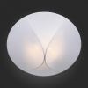 Накладной светильник ST-Luce Tonico SL360.552.02