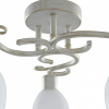 Потолочная люстра TopLight Loretta TL7360X-03WG