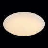 Накладной светильник ST-Luce SL875 SL875.062.01