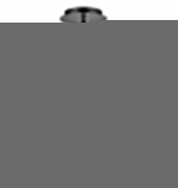 Люстра на штанге Vele Luce Bellezza VL7262L04