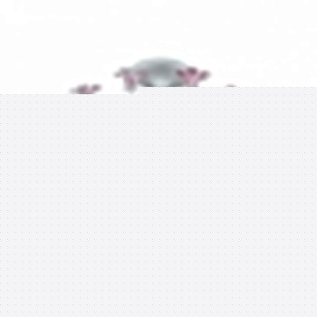 Люстра на штанге ST-Luce Brocca SL701.503.08