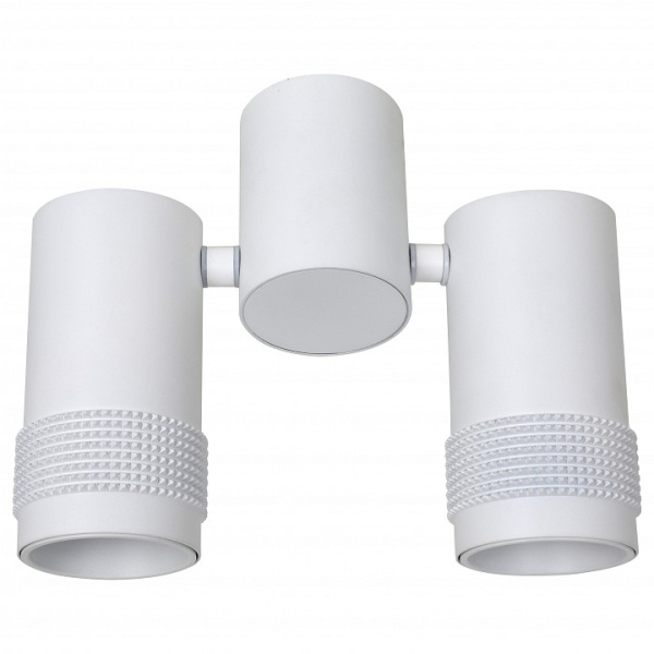Спот Favourite Kinescope 2453-2U