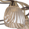 Потолочная люстра Escada 546 546/5PL