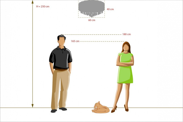 Накладной светильник MW-Light Жаклин 6 465012718