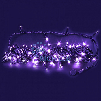 Гирлянды Нить [10 м] RL-S10CF-24V-CW/V