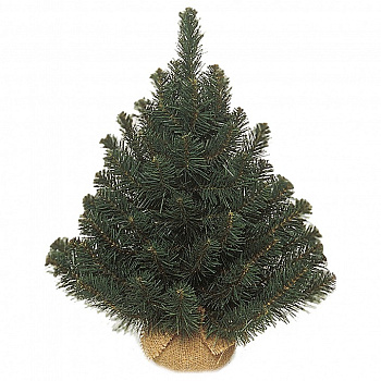 Ель новогодняя [60 см] Альпийская в мешочке зеленая 73561