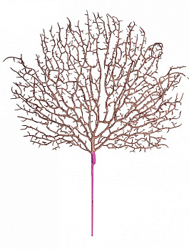 Ветка (60 см) 256-185