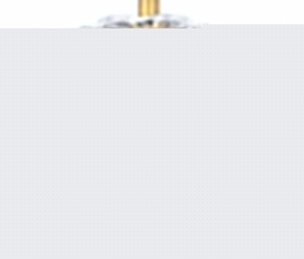 Светильник на штанге Arte Lamp Schelenberg A4410PL-1SR