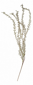 Ветка (115 см) 366-902