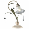 Настольная лампа декоративная Odeon Light Rozo 2797/1T