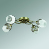 Потолочная люстра Lumion Filomena 3068/4C