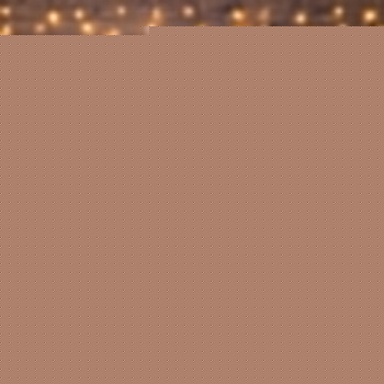 Сеть световая NN_235-066 235-066