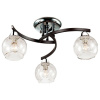 Потолочная люстра Lumion Vanes 2943/3C