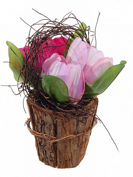 Растение в горшке (16 см) Из 3-х тюльпанов 56001900